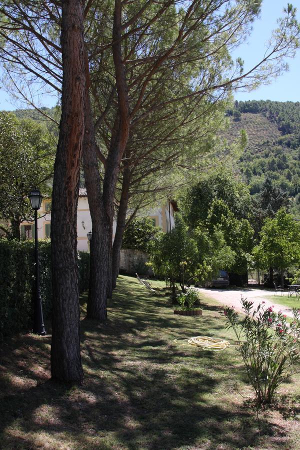 Villa Del Cardinale Spoleto Eksteriør bilde
